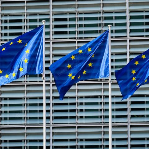 Drapeaux de l'Union européenne flottant devant ses bâtiments