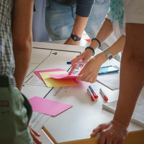 intelligence collective